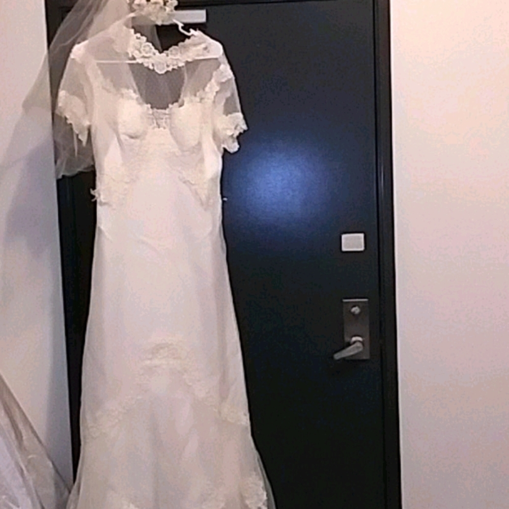 Vintage wedding dress. With veil